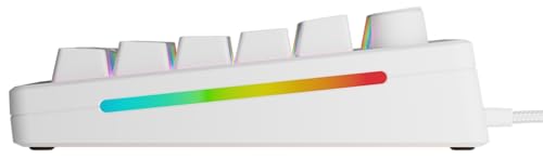 Glorious Gaming GMMK 3 anpassat mekaniskt gamingtangentbord, 75% TKL, modulärt packningssystem, doubleshot PBT-tangenter, aluminiumplatta, utbytbara 3- Och 5-stiftsbrytare, USA QWERTY - Vit