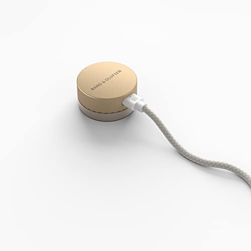 Bang & Olufsen Beosound Level Altavoz Inalámbrico Bluetooth Portátil y WiFi, El Primer Altavoz Certificado de Diseño Regenerativo Cradle to Cradle, IP54, Hasta 16 Horas de Batería Gold Tone/Wood
