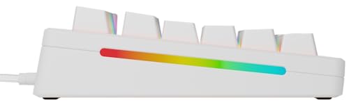 Glorious Gaming GMMK 3 anpassat mekaniskt gamingtangentbord, 75% TKL, modulärt packningssystem, doubleshot PBT-tangenter, aluminiumplatta, utbytbara 3- Och 5-stiftsbrytare, USA QWERTY - Vit