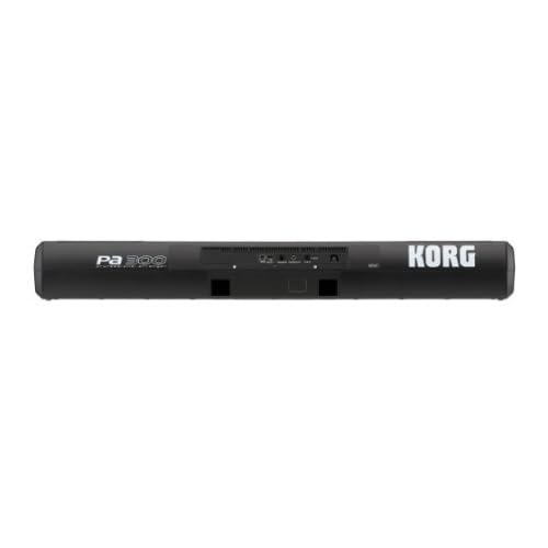 KORG TECLADO PA300