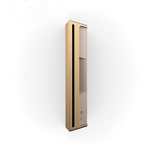 Bang & Olufsen Beosound Level Altavoz Inalámbrico Bluetooth Portátil y WiFi, El Primer Altavoz Certificado de Diseño Regenerativo Cradle to Cradle, IP54, Hasta 16 Horas de Batería Gold Tone/Wood
