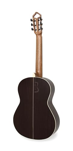 APC Instruments Luthier - Instrumento de cuerdas