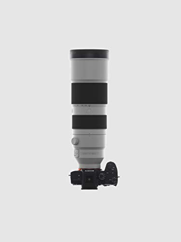 Sony FE 200-600 mm f/5.6-6.3 G OSS - Full-Frame, Zoom, Superteleobjetivo G (SEL200600G)