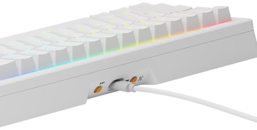Glorious Gaming GMMK 3 HE Med dynamiska avtryckare, Hall Effect, 8K uppdateringsfrekvens, MX- Och magnetbrytare, 65% kompakt, modulärt packningssystem, doubleshot PBT-tangenter, USA QWERTY - Vit
