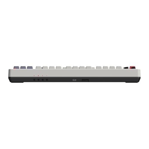 8Bitdo Retro Mechanical Keyboard, Bluetooth/2.4G/USB-C Hot Swappable Gaming Keyboard with 87 Keys, Dual Super Programmable Buttons for Windows and Android - QWERTY Spanish ISO Layout