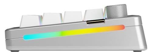 Glorious Gaming GMMK 3 Pro HE: Teclado Gaming inalámbrico, Hall Effect, Carcasa de Aluminio, tasa 8K, switches Hot Swap MX/HE, acción Ajustable, Compacto 65% QWERTY Estadounidense (Plata)