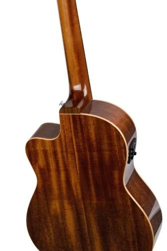 NYLON 6-STR. GUITAR ORTEGA