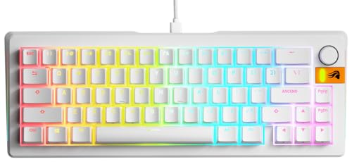 Glorious Gaming GMMK 3 HE Med dynamiska avtryckare, Hall Effect, 8K uppdateringsfrekvens, MX- Och magnetbrytare, 65% kompakt, modulärt packningssystem, doubleshot PBT-tangenter, USA QWERTY - Vit