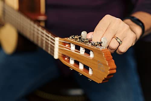 Ortega R210 - Guitarra clásica (picea, tamaño 4/4), color natural