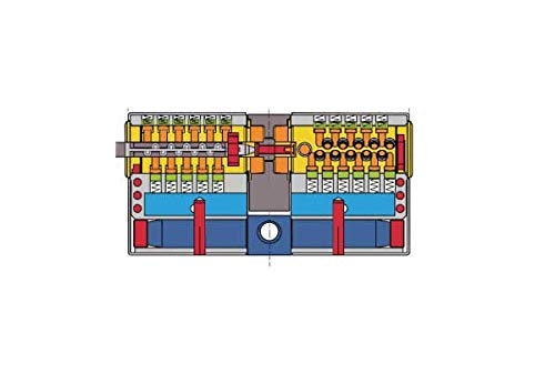 Vachette 582105 RADIALis-Cilindro de cerradura 42,5 x 42,5 mm, acero inoxidable, seguridad máxima, exterior, puerta de entrada, 4 llaves no copiables, tarjeta de propiedad, 42,5x42,5
