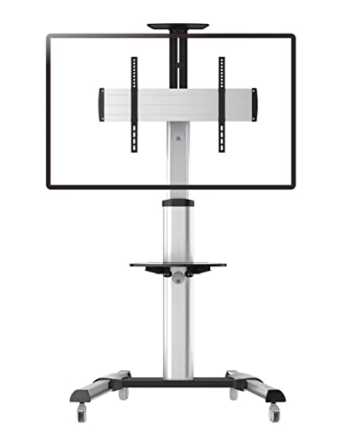 ROLINE Soporte Enrollable para LCD/TV, Plata, hasta 50 kg