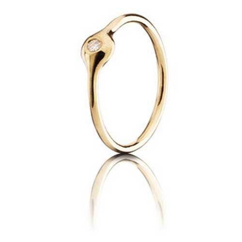 Pandora 970102D-59 - Anillo de oro amarillo de 18 quilates, talla 19 (18,79 mm)