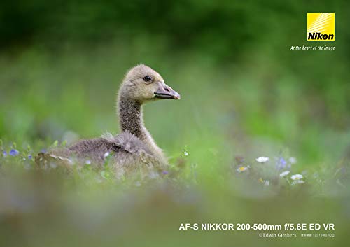 Nikon AF-S NIKKOR 200-500 mm 1:5,6E ED VR - Objetivo