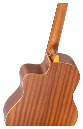 Ortega Classical Guitar Family Series Pro 44 Incluye funda Mástil delgado NT Cedro natural RCE131SN