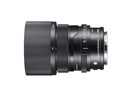 Sigma 65MM F2 DG DN Contemporary - Sony E
