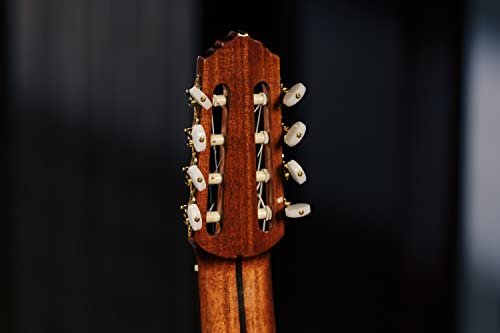 ORTEGA Performer Series Classical Guitar 44 8 String Cedro natural y funda RCE159-8