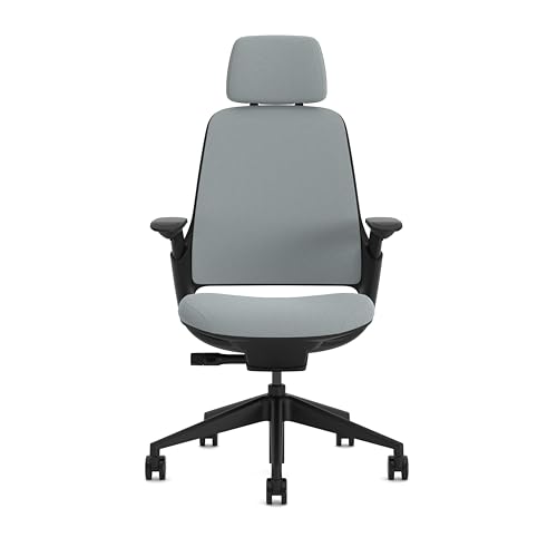 Steelcase Series 1, Silla de Oficina ergonómica con sujeción Lumbar, Brazos 4D y reposa Cabeza Regulables, Respaldo de Malla Nube Tormenta