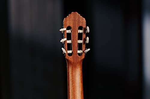 Ortega R180 - Guitarra clásica (cedro y bubinga, tamaño 4/4), color natural