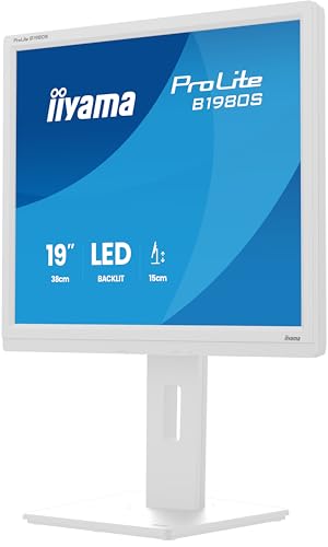 iiyama Monitor de Escritorio, B1980S-W1-19, TN, 1280x1024/75Hz, 1H1DP, HAS