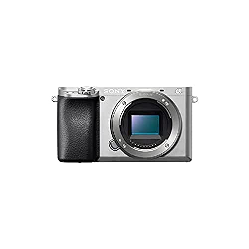 Sony ILCE6100LS.CEC Alpha 6100 Cámara Evil APS-C con Objetivo Zoom Potente, Color Plata, Sin Tarjeta