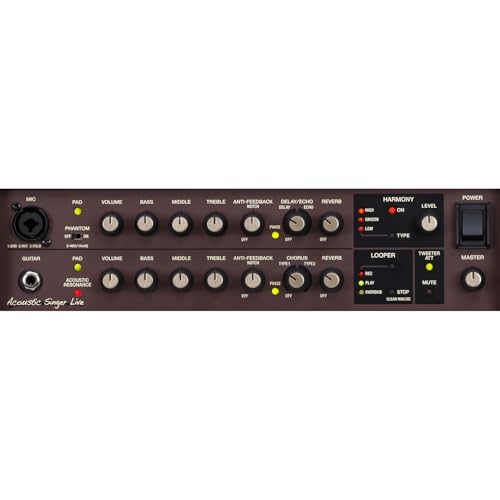 Amplificador acústico BOSS ACS-Live — Canal de guitarra con Acoustic Resonance