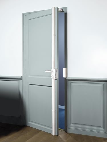 Bricard 74621 - Cerradura vertical multipunto, 3 puntos, blanco, tiro recto, fabricado en Francia