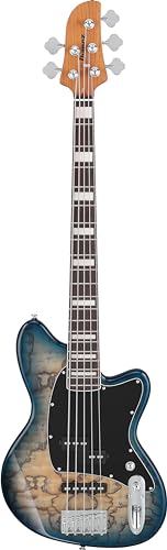 Ibanez Bass guitar / TMB405TACBS Standard