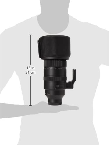 150-600 mm F5/-6.3 DG DN para Sony E Negro