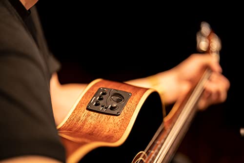NYLON 6-STR. GUITAR ORTEGA