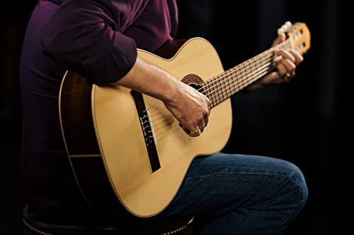 Ortega R210 - Guitarra clásica (picea, tamaño 4/4), color natural