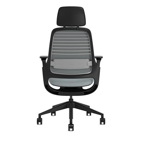 Steelcase Series 1, Silla de Oficina ergonómica con sujeción Lumbar, Brazos 4D y reposa Cabeza Regulables, Respaldo de Malla Nube Tormenta