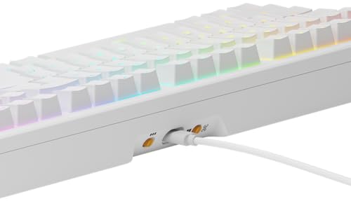 Glorious Gaming GMMK 3 HE Med dynamiska avtryckare, Hall Effect, 8K uppdateringsfrekvens, MX- Och magnetbrytare, 100% fullstorlek, modulärt packningssystem, doubleshot PBT-tangenter, USA QWERTY - Vit
