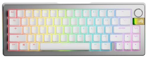 Glorious Gaming GMMK 3 Pro HE: Teclado Gaming inalámbrico, Hall Effect, Carcasa de Aluminio, tasa 8K, switches Hot Swap MX/HE, acción Ajustable, Compacto 65% QWERTY Estadounidense (Plata)