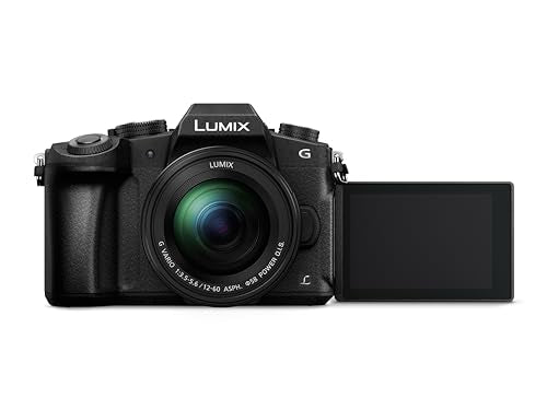 Panasonic Lumix DMC-G80/G81/G85 12-60 / 3.5-5.6 Lumix G Vario Power OIS ASPH - Cámara digital