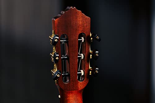Ortega Eclipse Suite - Guitarra clásica