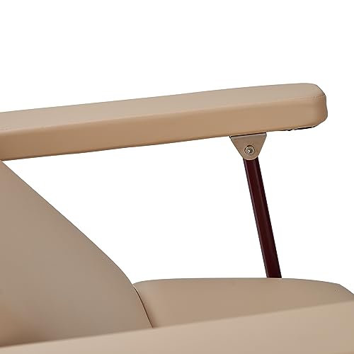 Master Massage Del Ray Salon Therma Top Plegable Mesa de Masaje Móvil Masaje Banco de Masaje Calentable Tumbona de Cosméticos Tratamientos Tumbona de Tratamiento, Respaldo Ajustable