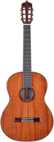 ARTESANO Guitarra de concierto, Nuevo Oscuro