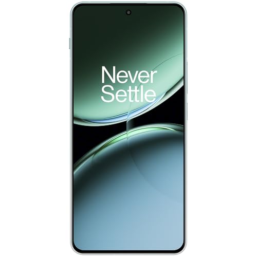 ONEPLUS Smartphone Nord 4 6,7" Octa Core 12 GB RAM 256 GB Verde