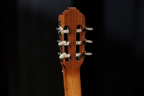 Ortega R210 - Guitarra clásica (picea, tamaño 4/4), color natural