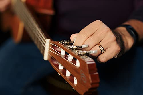 Ortega R180 - Guitarra clásica (cedro y bubinga, tamaño 4/4), color natural