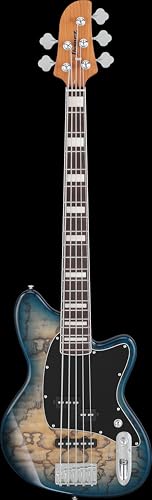 Ibanez Bass guitar / TMB405TACBS Standard