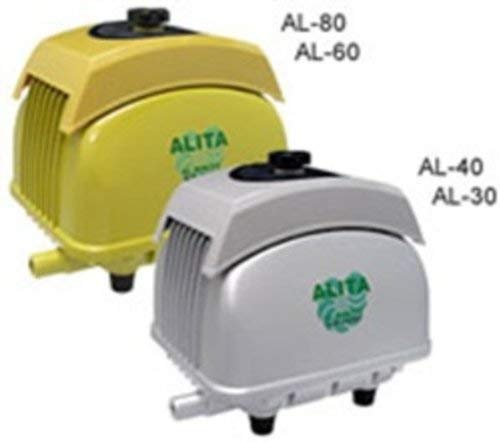 Alita Bomba de aire Alita de gran caudal AL-60, 60 l/min a 1,5 metros, salida de 18 mm, 54 vatios