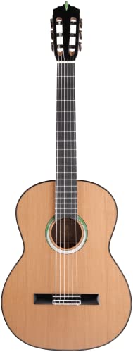 ARTESANO Guitarra de concierto Nuevo Verde, maciza, funda blanda