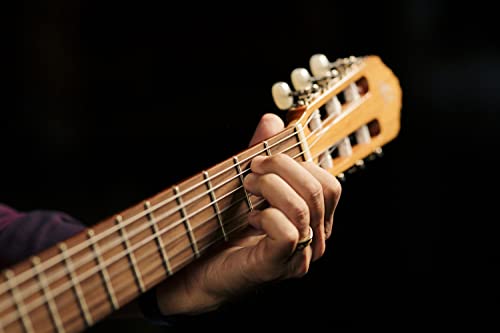 Ortega R210 - Guitarra clásica (picea, tamaño 4/4), color natural