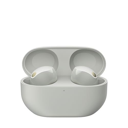 Sony Auriculares inalámbricos con Noise Cancelling WF-1000XM5, Bluetooth, Auriculares in-Ear, micrófono, hasta 24 Horas de batería, Carga rápida, IPX4, Alexa y Google Assitant, iOS y Android - Plata