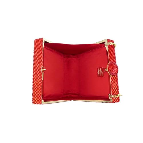Sanetti Inspirations Embragues-Snc-026, Embrague para Mujer, como se Muestra en la Imagen, One Size