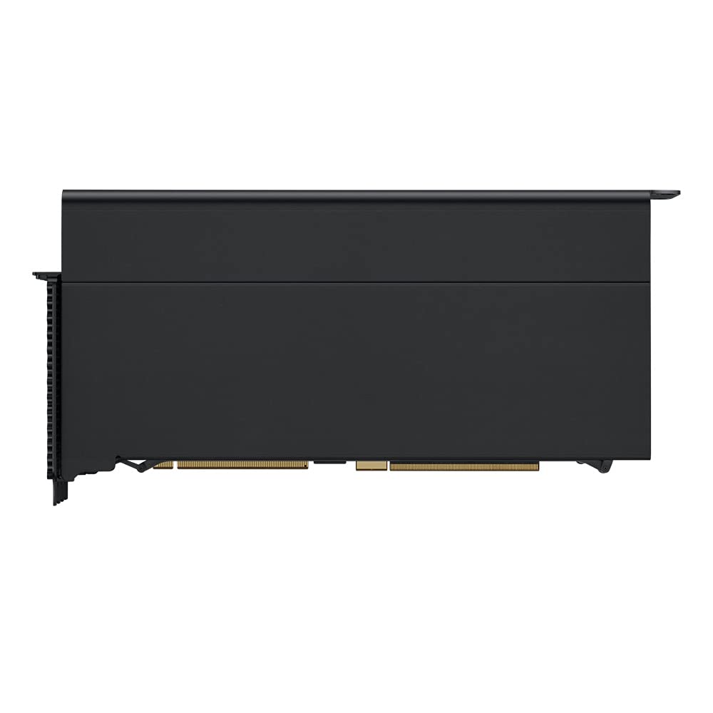 Módulo MPX con Radeon Pro W6800X Duo