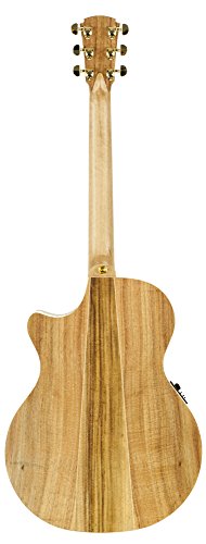 Cole Clark ccan2ec-blbl guitarra Electro-Acoustique