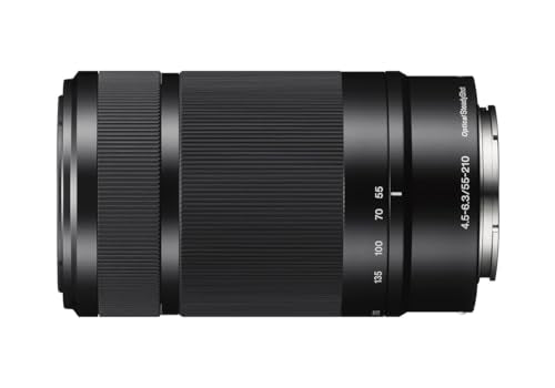 Sony ILCE6100AXB.CEC Alpha 6100 Cámara Evil APS-C con Objetivos Zoom, Color Negro, Cargador Incluido, Sin Tarjeta