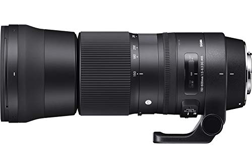 Sigma Zoom 150-600/5-6.3 DG OS HSM (C) EOS - Objetivo, Negro